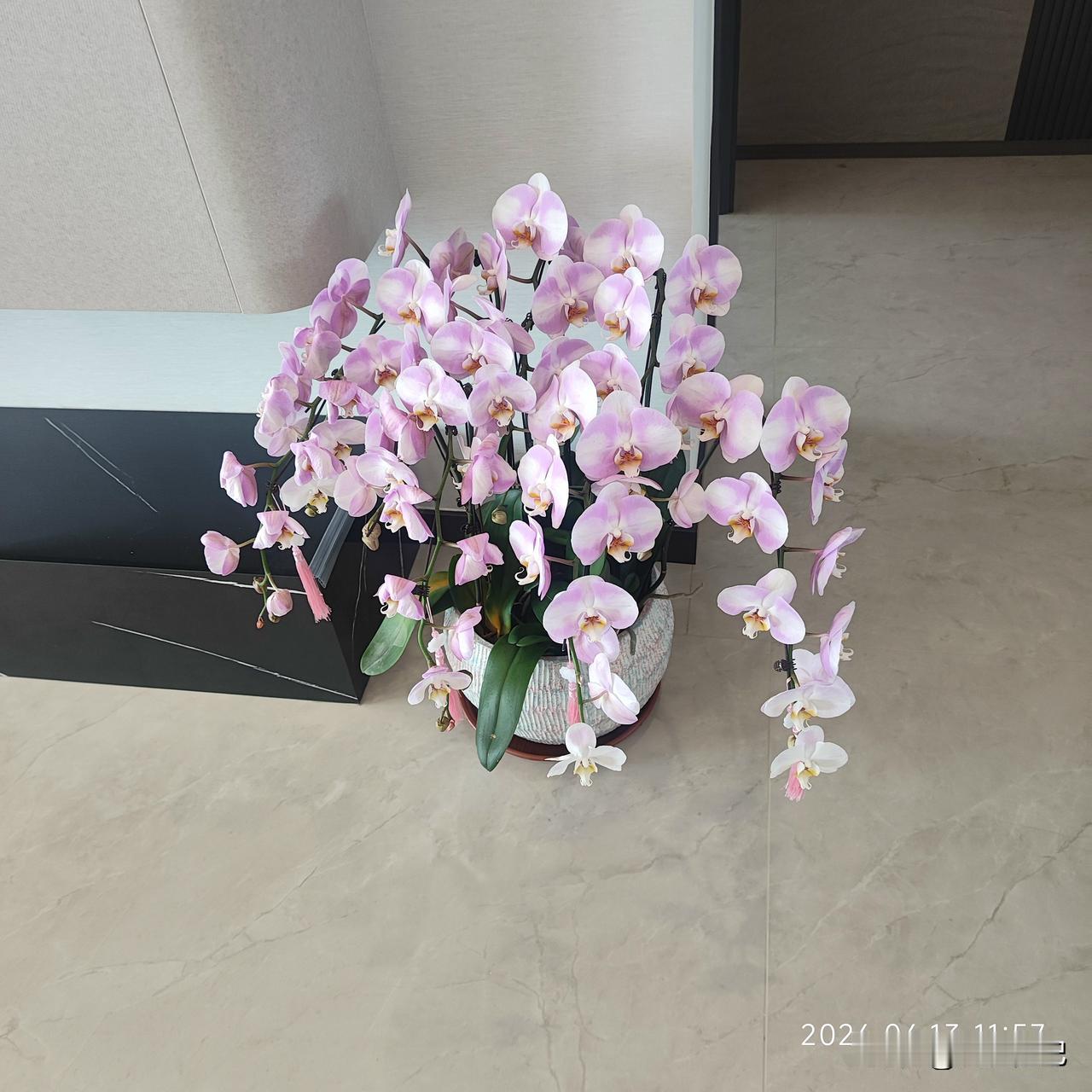 35岁离婚两次,丢人吗?丢什么人啊？生活是自己的，你又不欠别人一分一毫，想离就离