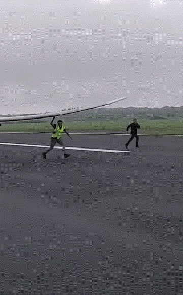 1：拼命的踩着自行车就真的可以飞起来吗？总觉得不现实了。
2：野外看见这样的千万