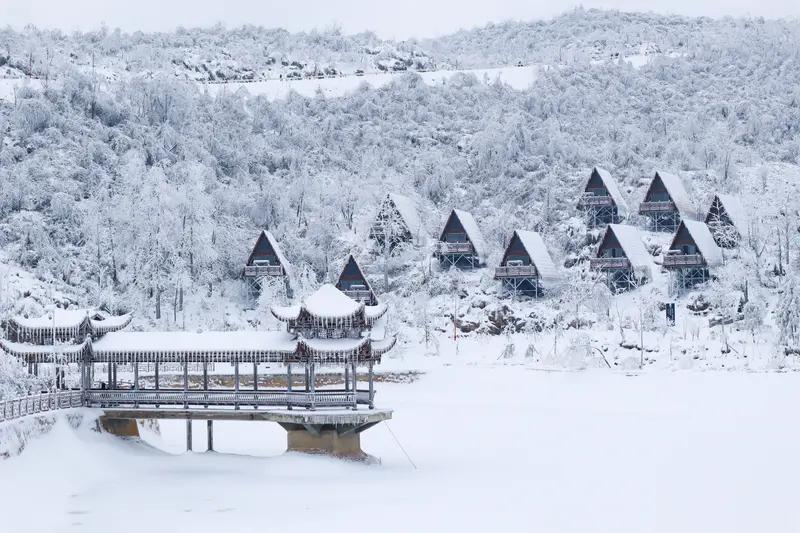 10月28日，“张家界七星山骆驼杯”第20天，唯一女选手“冷美人”体检通过，还因