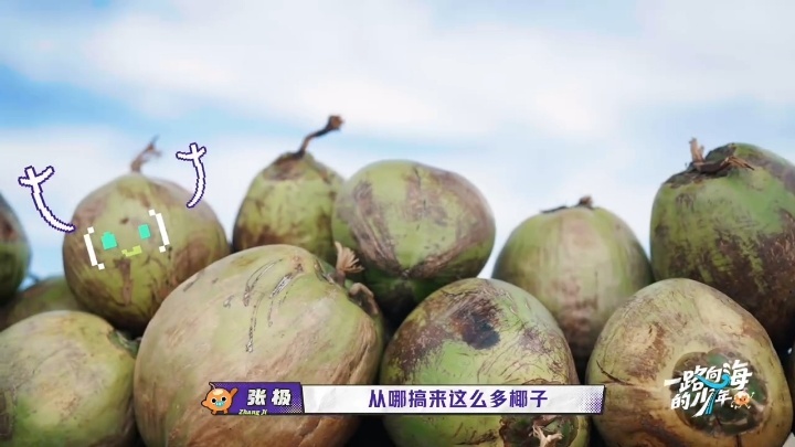 徐志胜为TOP发声一路向海的少年 徐志胜今天的任务是帮TOP讨公道，椰子当货币就