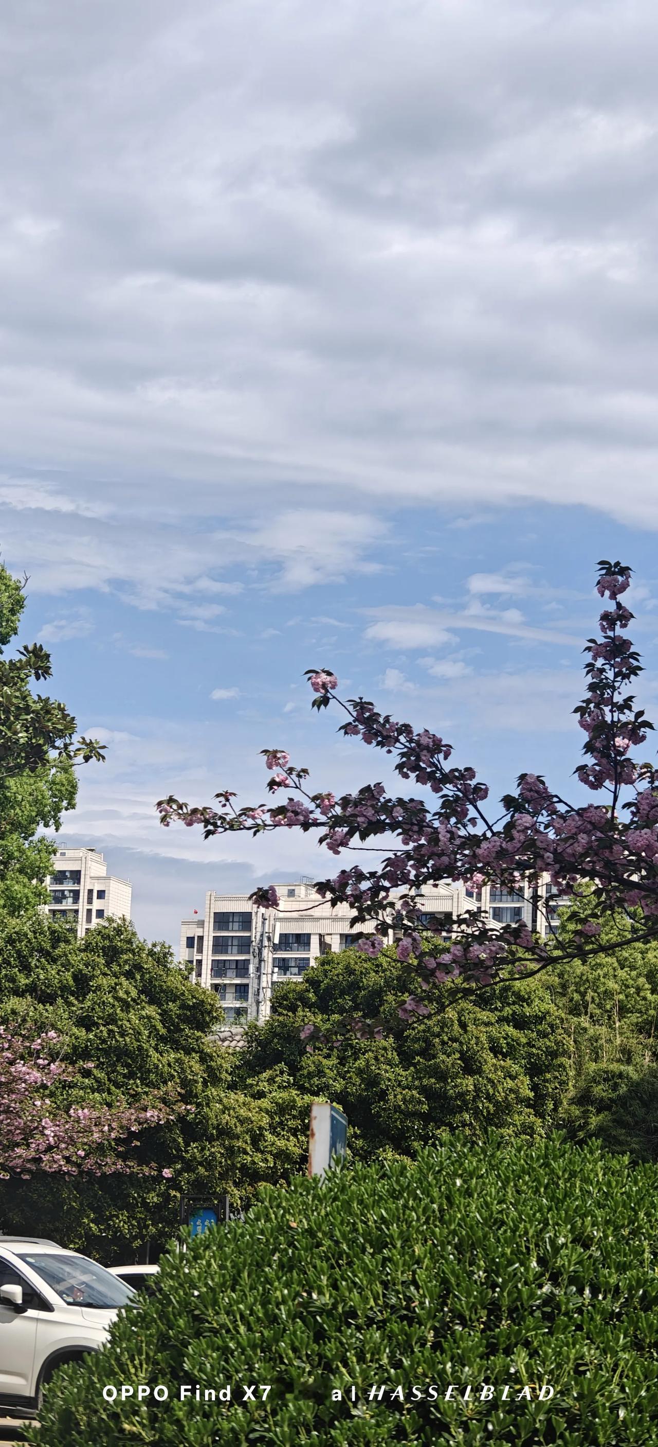 春天，我最想实现的心愿：

钢板拆除后，骨孔愈合。伤情鉴定，起诉肇事者，让应该赔