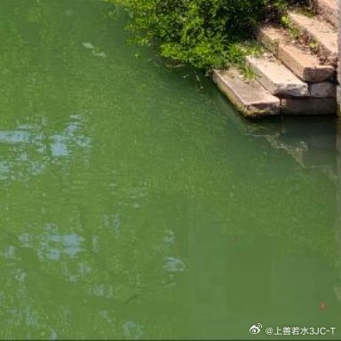 每日一善 向善是一种文明，也是一种光明。善良之举，需要人人拥有，善良之歌，需要人