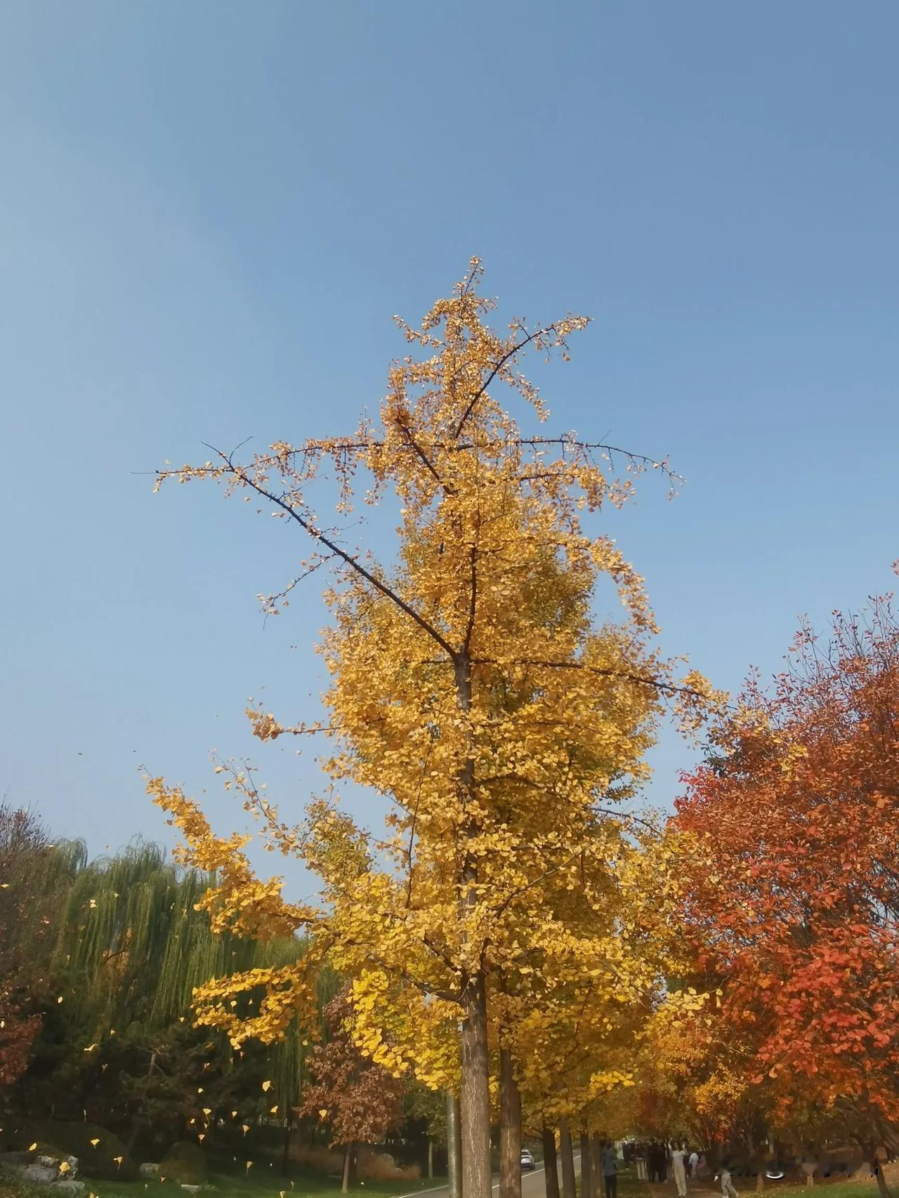 
春阅百花秋赏叶，最是人间好时节。