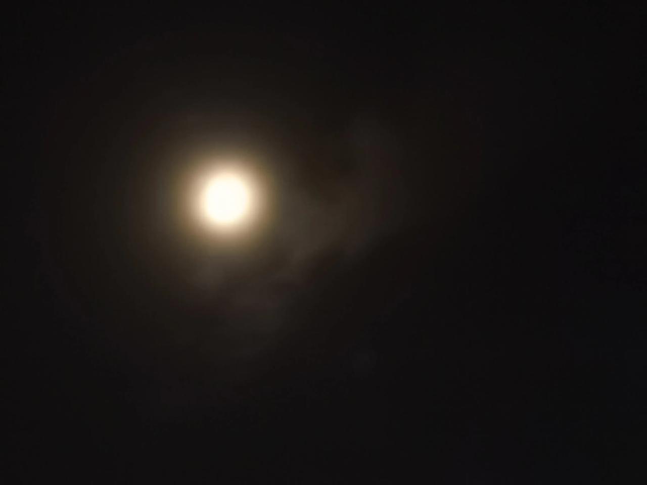 
十五的月亮十六圆，提前赏月，感觉今天月亮也圆