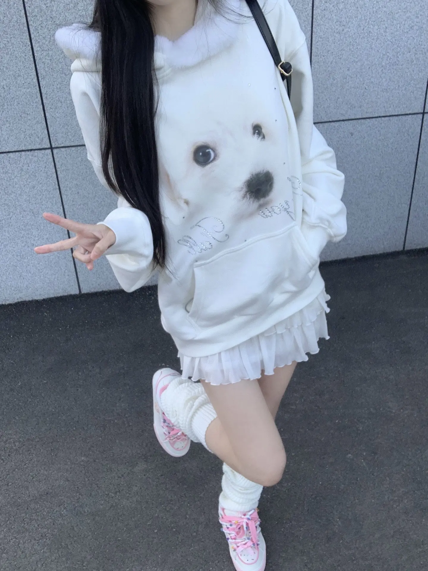 看起来是毛茸茸的小狗实际上…