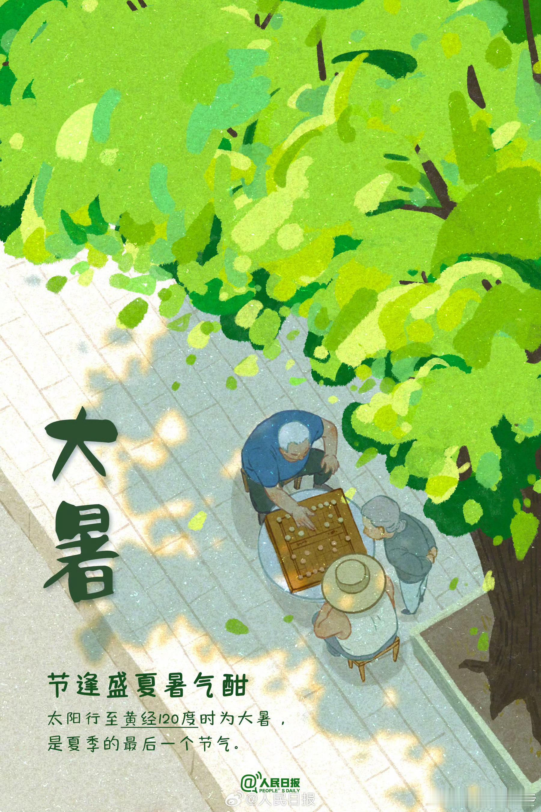 大暑节气2026 大暑，蝉鸣达顶峰，光阴向秋行。