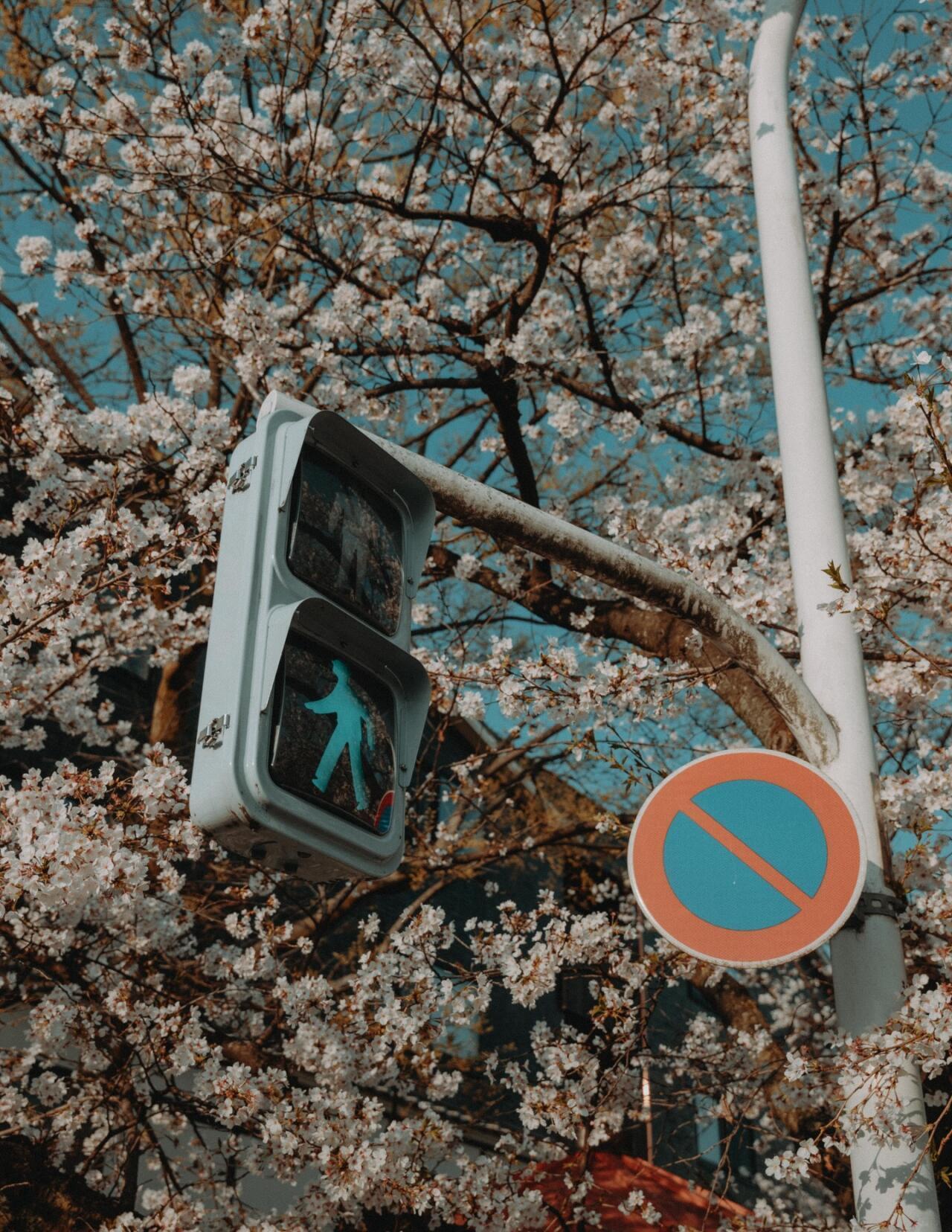 摄影审美积累｜📷：Riki Shinagawa 