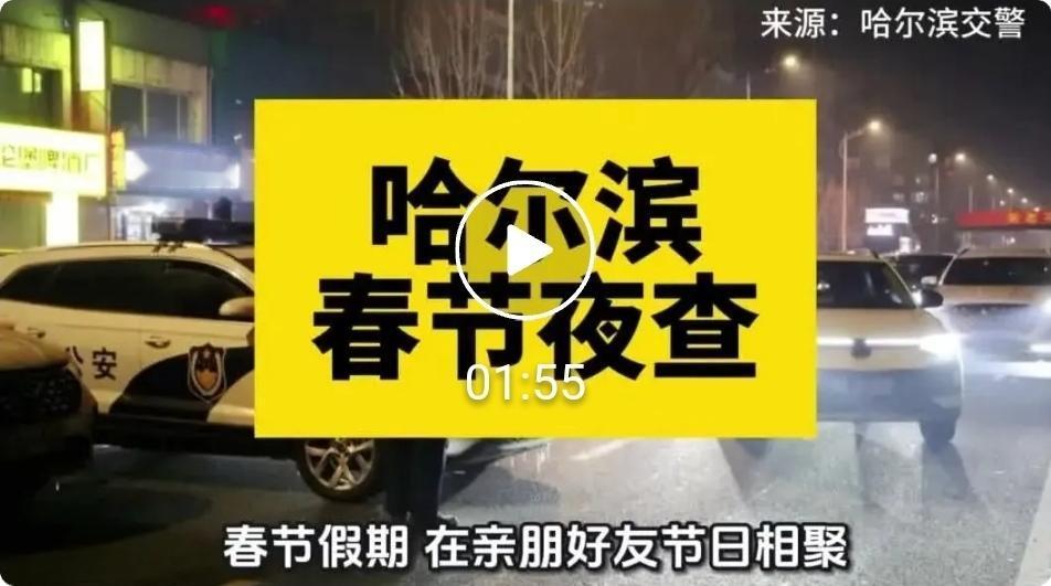 过年期间，哈尔滨当场查处ADB228*、黑M91P8*......-epsUOq