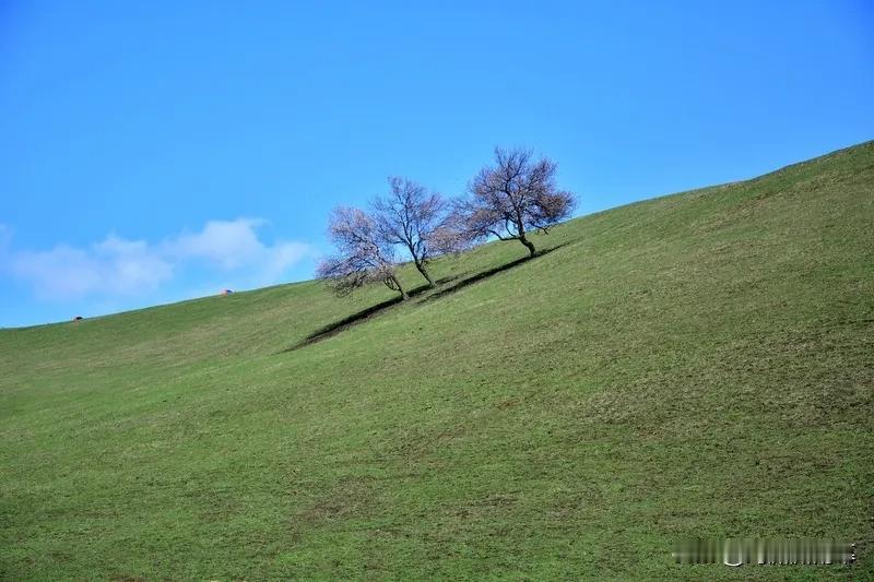 好事近

作者：汪莘

春早不知春，春晚又还无味，一点日中星鸟，想尧民如醉。
