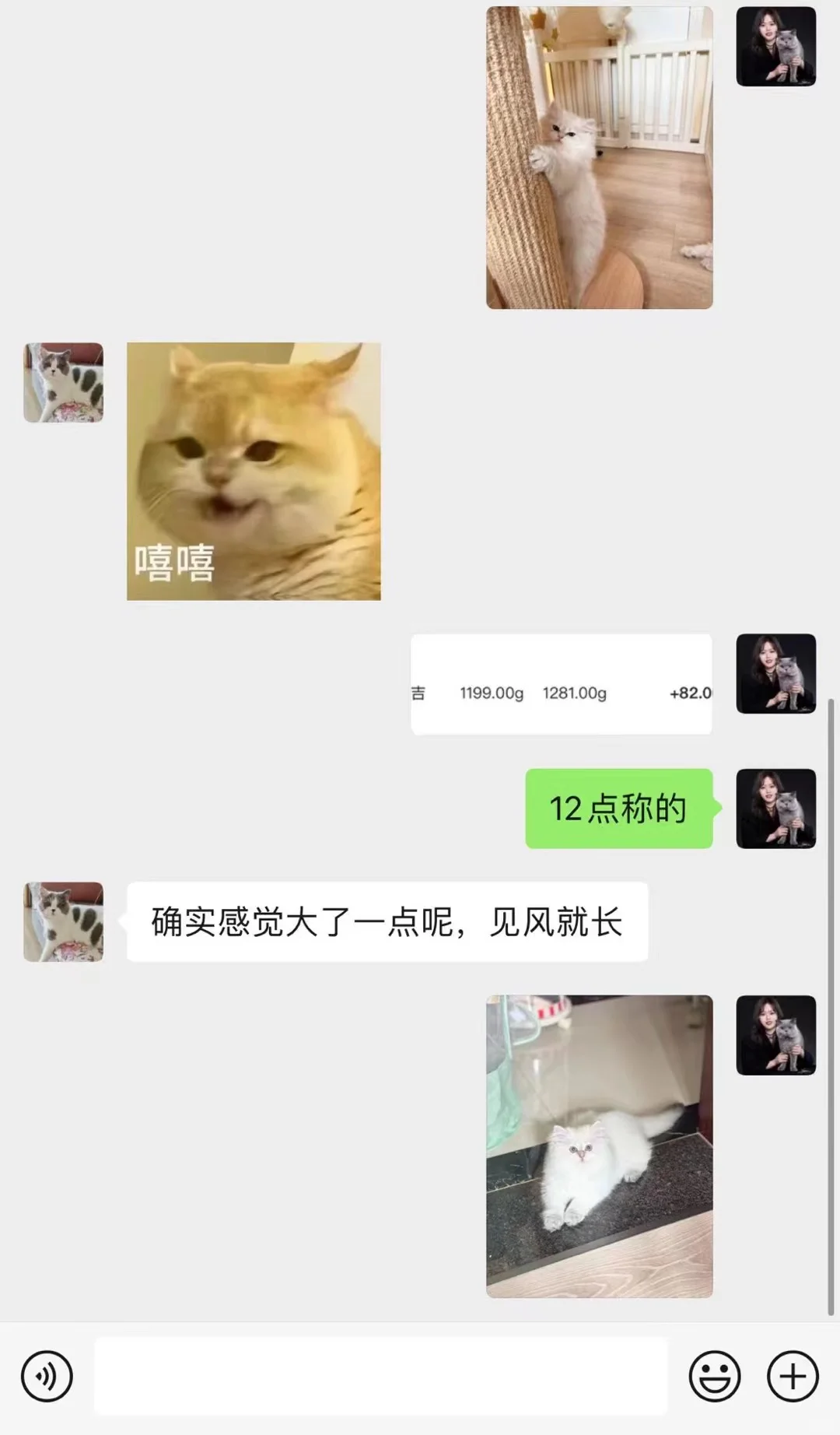 一早给小猫家长发照片