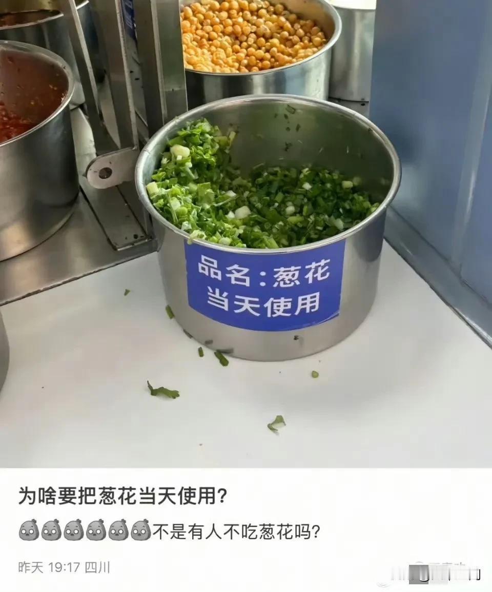 有些人智商不高，却总爱在网上挑剔这不好，那不好，阴阳怪气这个，阴阳怪气那个，连饭