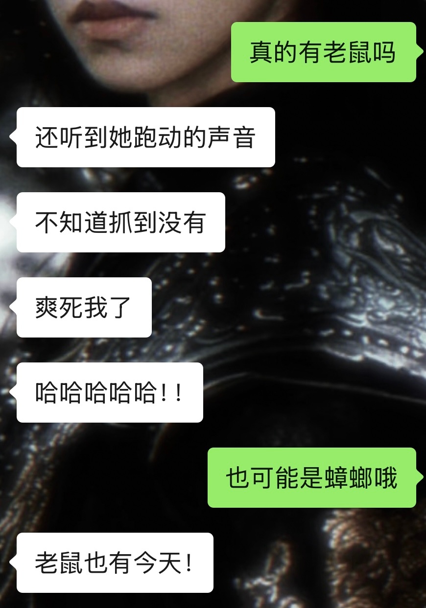 猫已经开始打工 