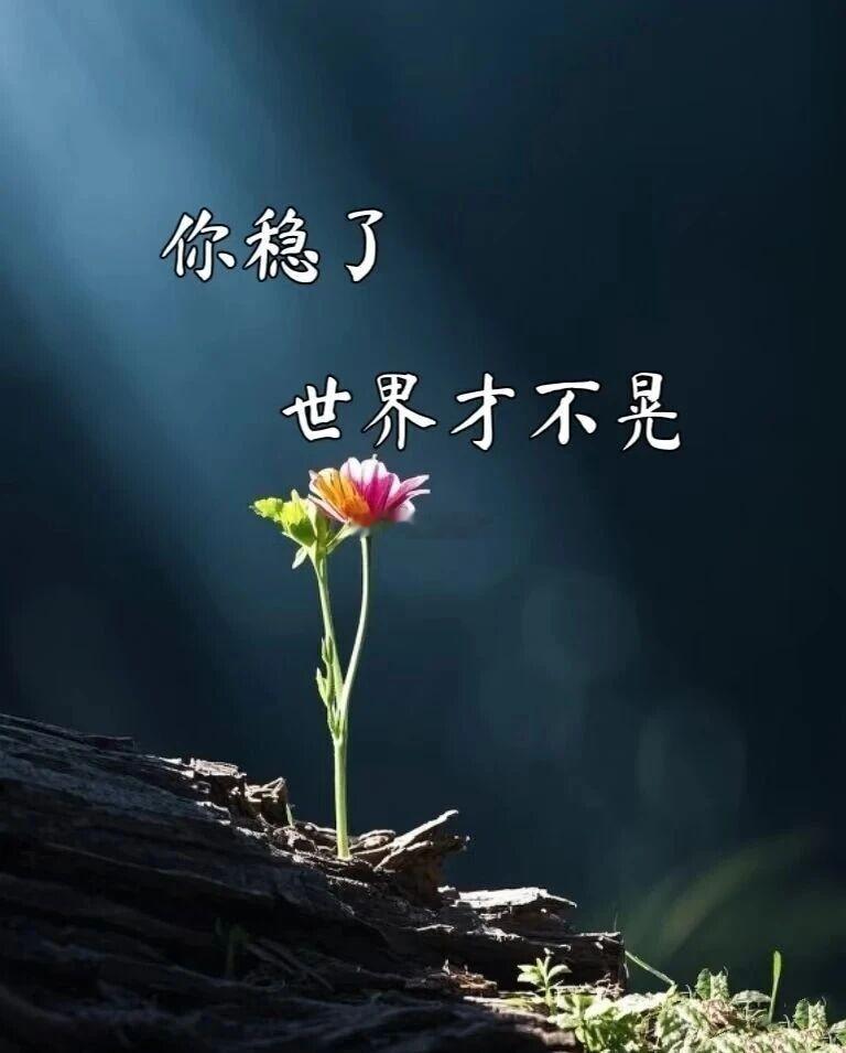 涨跌无意，全凭博弈但我相信该来的始终会来，坐等一波回调！ 