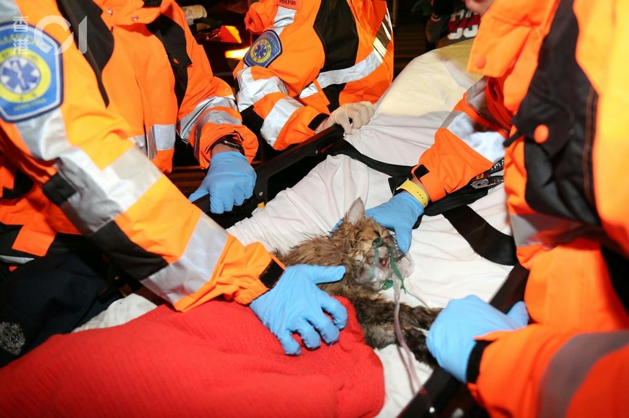 屯门景峰花园凌晨发生火警！

凌晨2时半左右，一名独居女子燃点香薰时，不慎打泻引