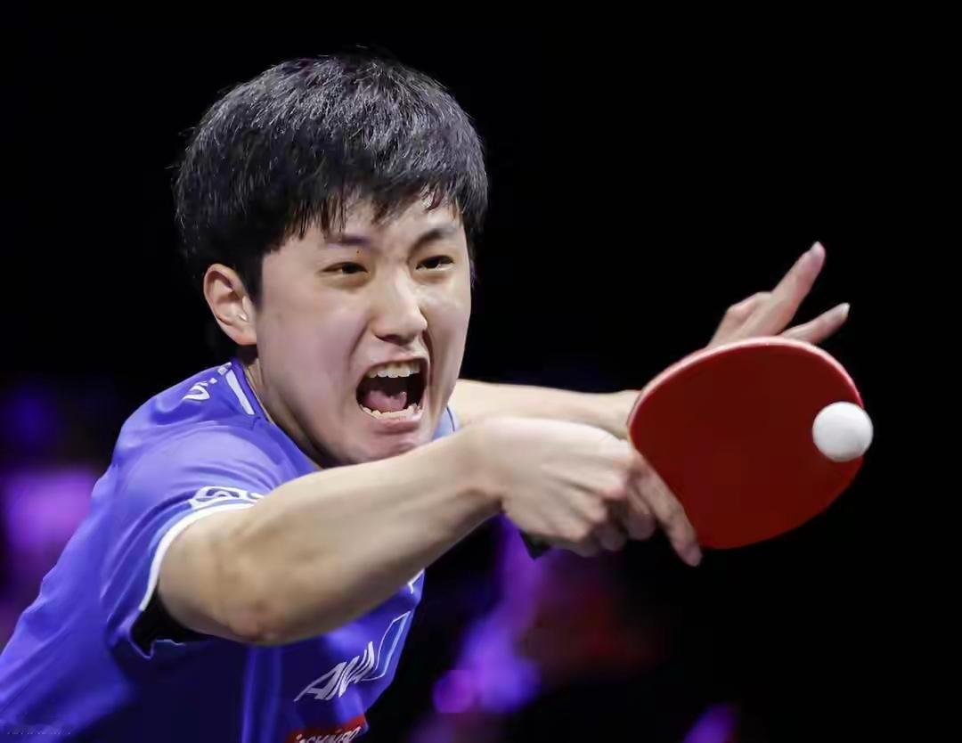 张本智和、张本美和依然受到日本队的重用！成都混合团体世界杯，日本队依然对张本智和