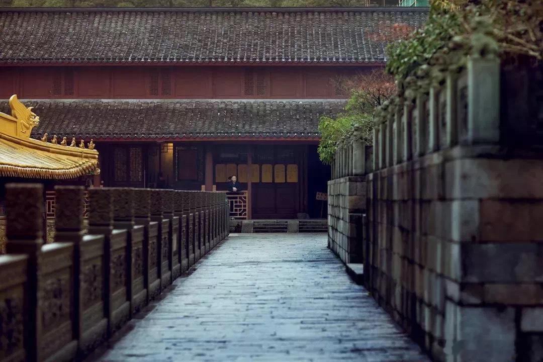 簪花，致岁月·默斋主人原创自由诗从前，我们总心怀惶恐怕慢上一步，就错过一整个春日