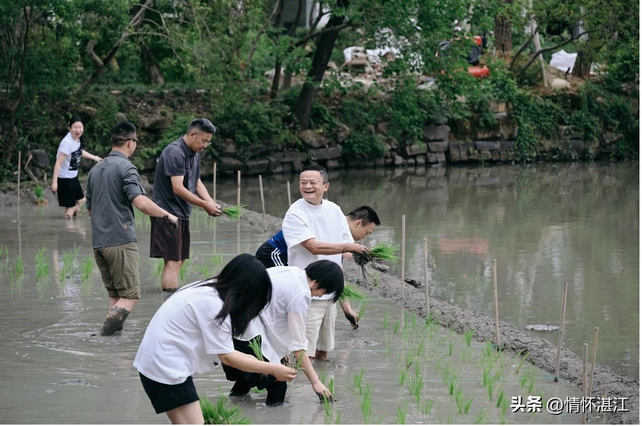 好久没有马云公开露面的报道，想不到最近网上看到的竟是马云带领阿里巴巴集团的领导团
