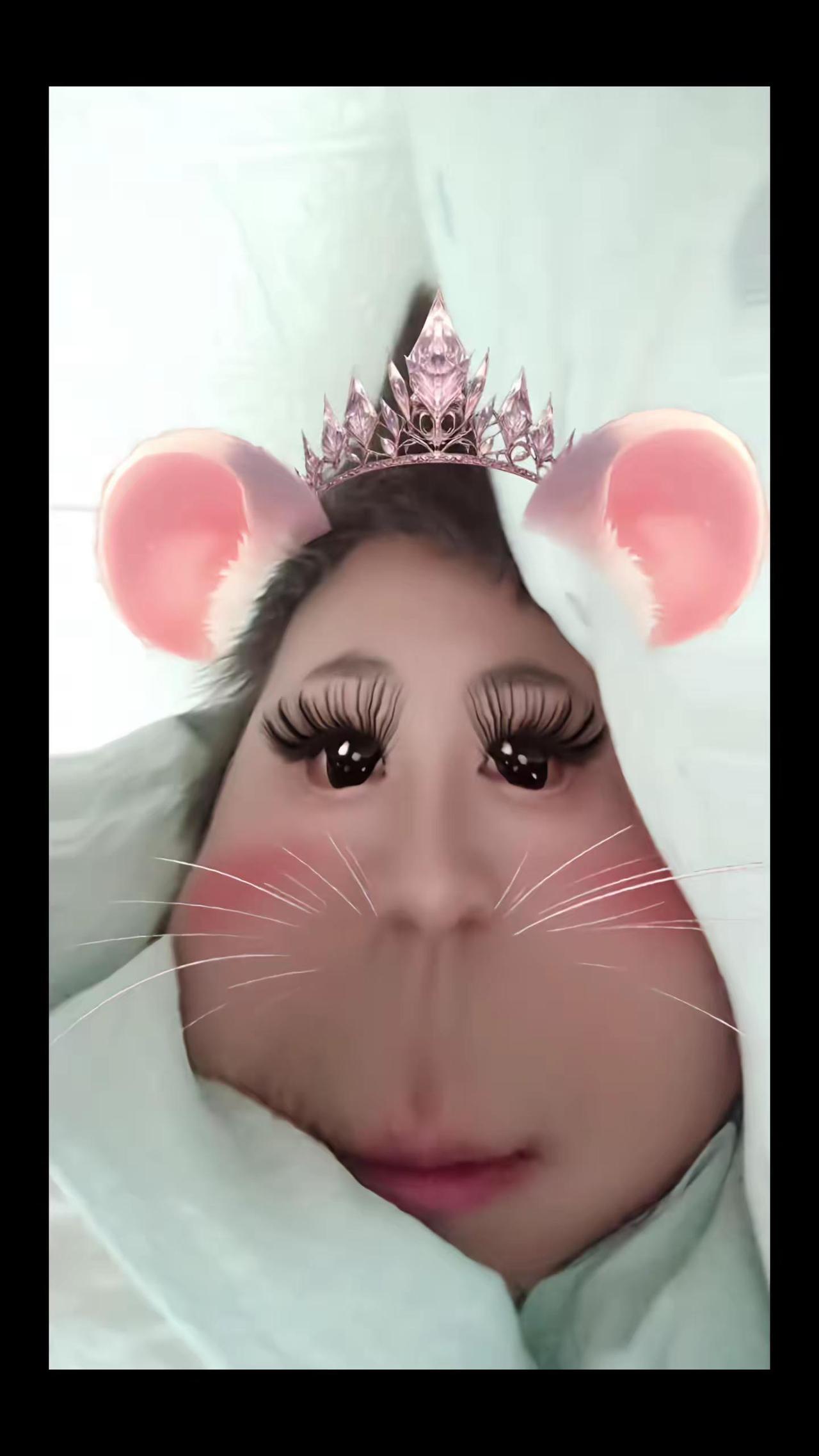 好大一只耗子……
