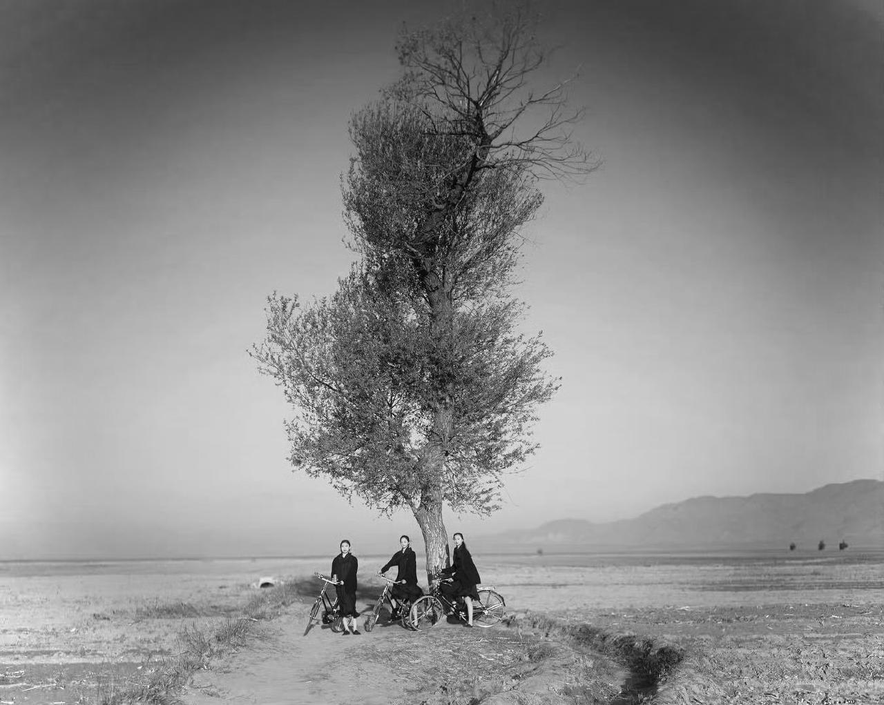 闫、董两女哭穷式的傲慢，岂止是傲慢？
无非是旧调重提，在new money和ol