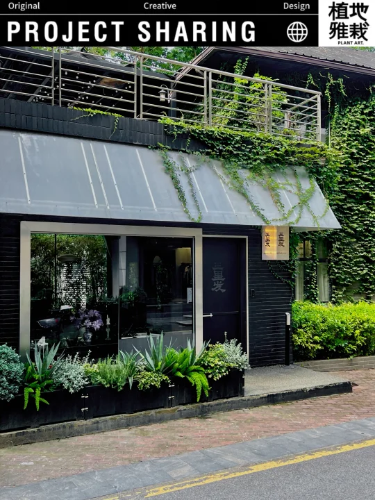 案例✿｜王里发｜门头植物景观花箱设计落地