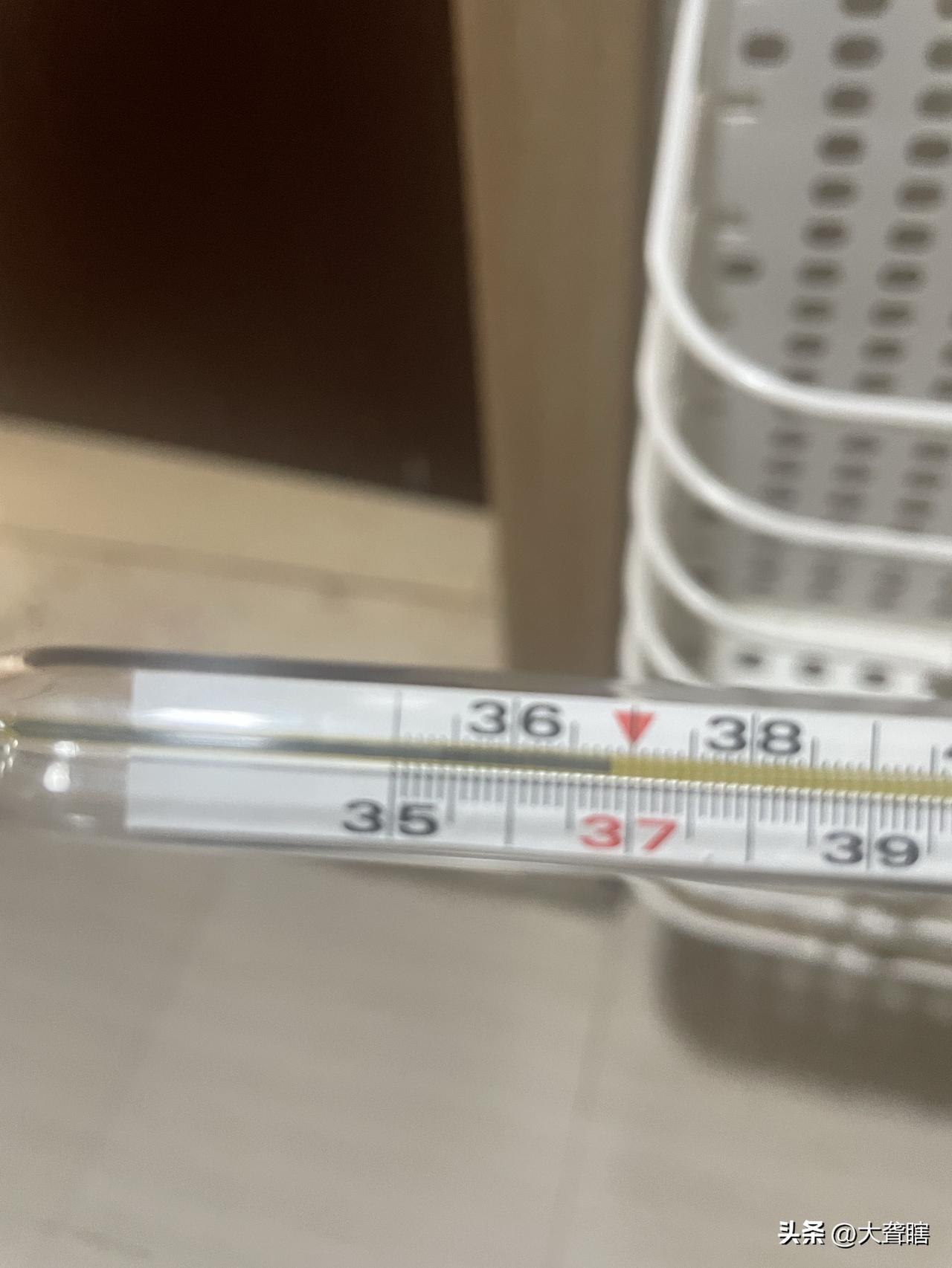 连续3天38度以上，几粒布洛芬下去终于回落正常值，就问够不够格迎合这个夏季吧[捂