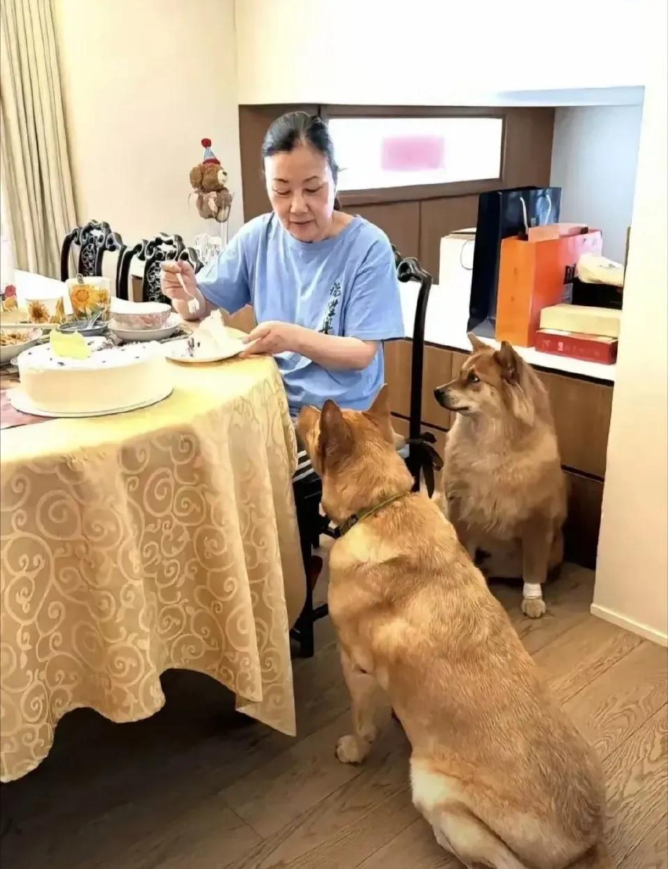 汪明荃的老年生活，有钱有闲，还有两只狗狗，和老公两个人的日子也过得很幸福。在tv