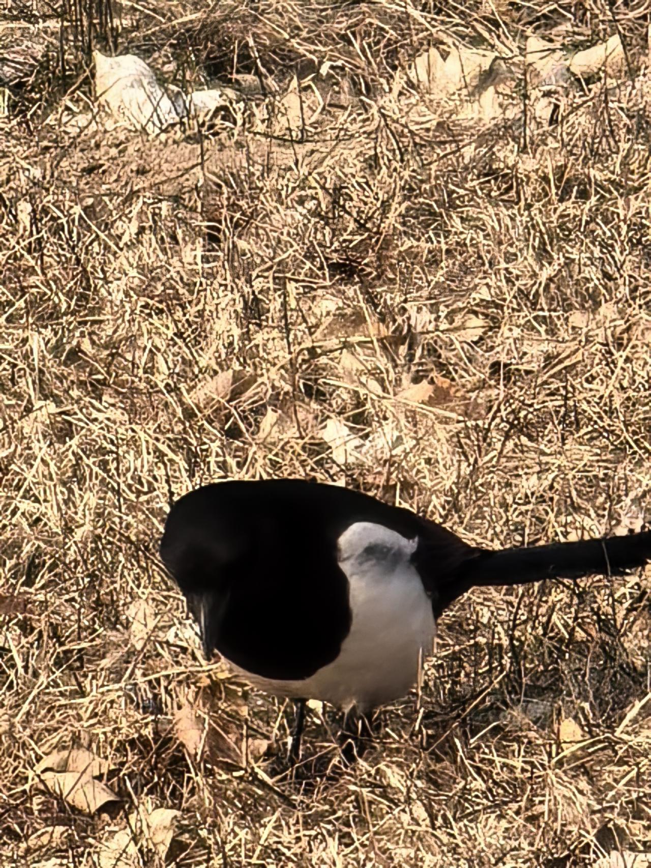 分享一张自然风景的照片