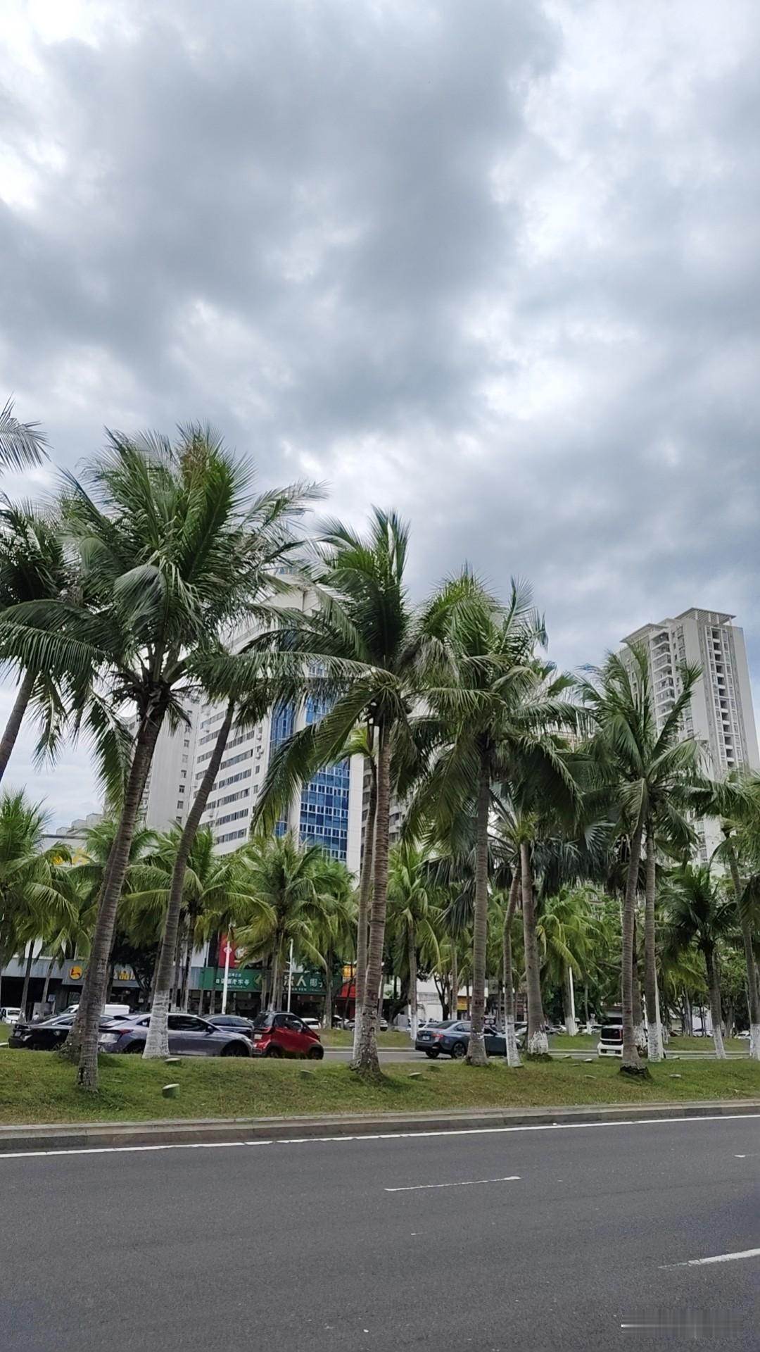 电车和油车您支持买哪种车呢？
我当然支持买电车。就像我女儿家，平时主要是短途通勤