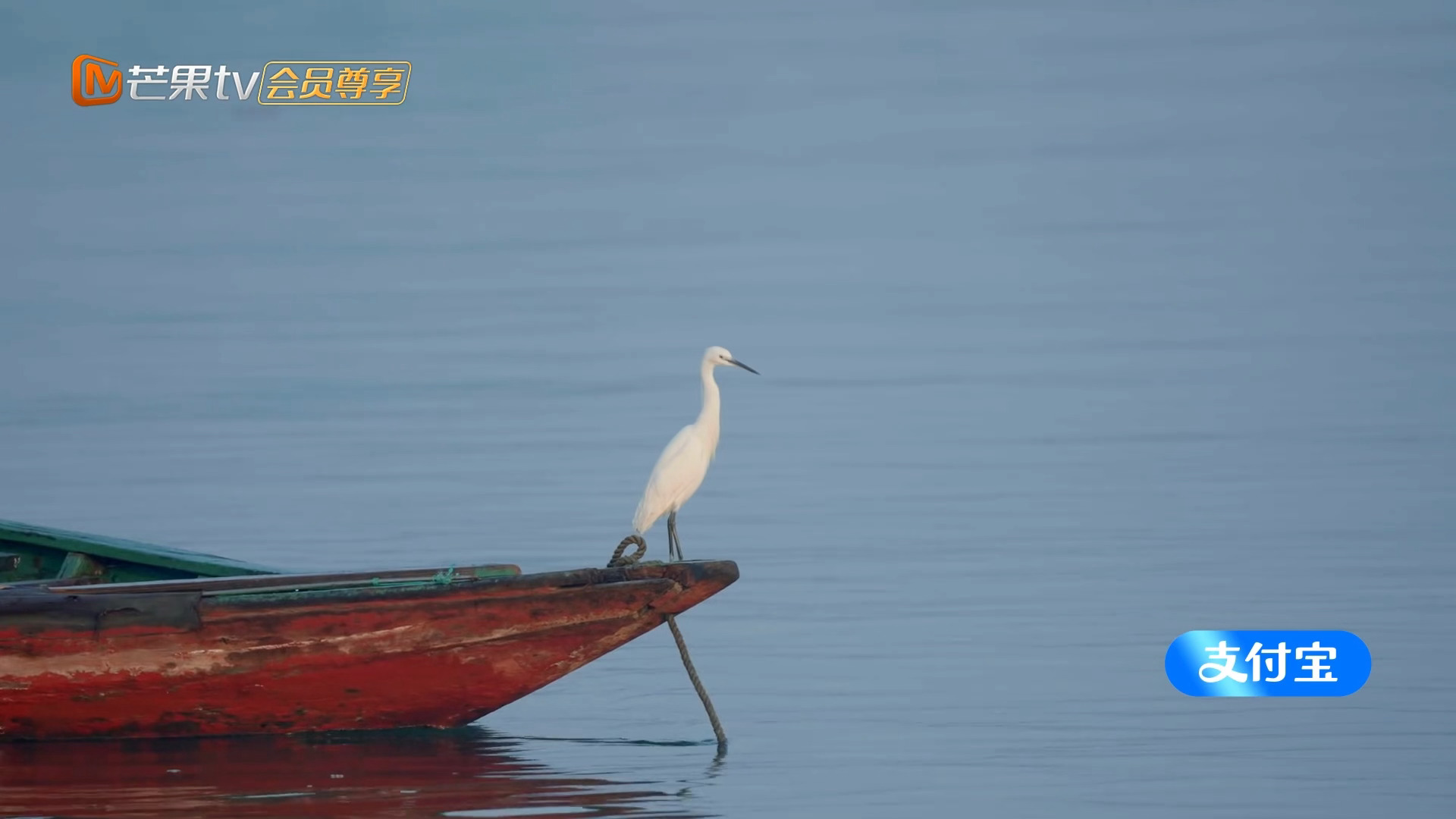 景色是真的不错 