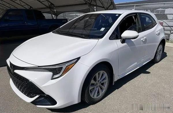 一想到要回家，心里头那个热乎劲儿就甭提了。这时候，卡罗拉家族就像个靠谱的老伙计，