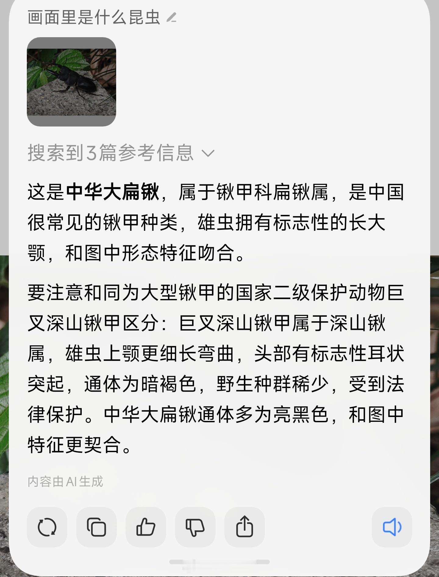 小伙伴爬山遇到了中华大扁锹