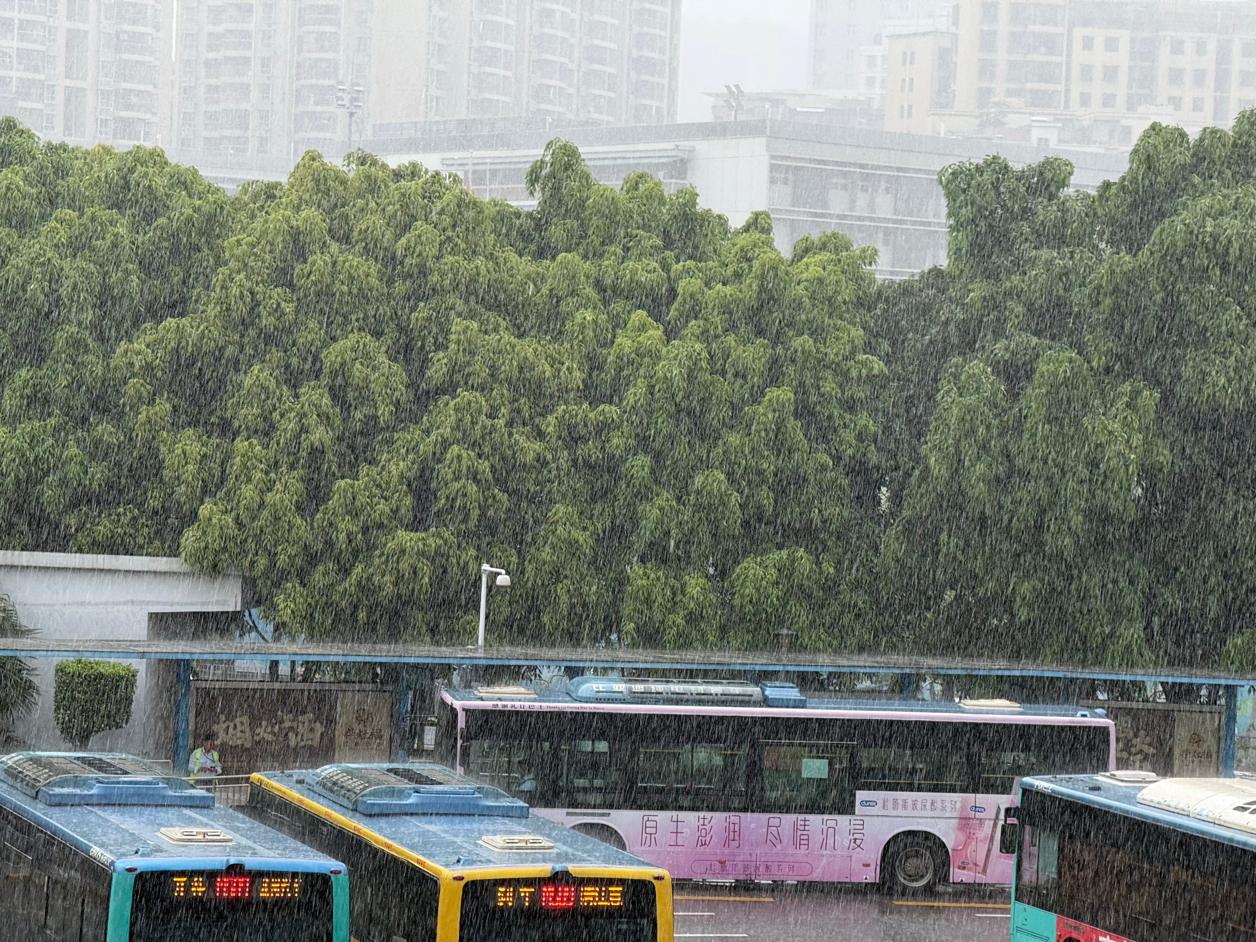 深圳暴雨这雨已经下了好几天了到底什么时候停啊！！下雨出门太恼人了 