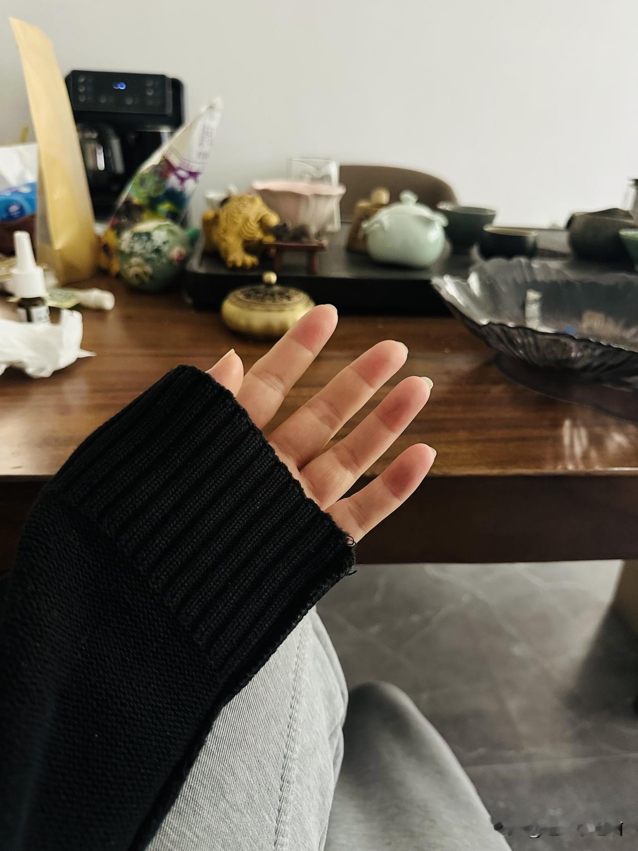 今天早上出门风挺大的，昨天早上把加了薄绒的开衫外套又找出来了。
今天早上遛狗穿上