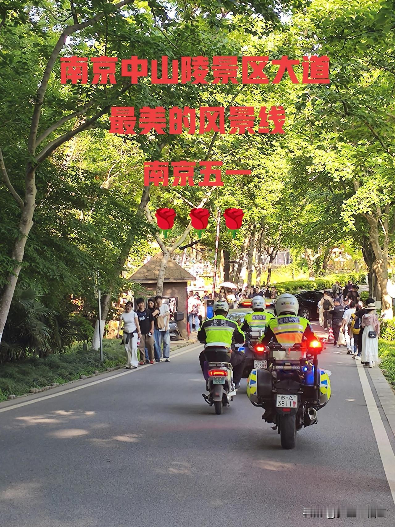昨天下午在中山陵景区的大道上有几位铁骑交警一直不停地来回巡逻，他们为了给全国各地