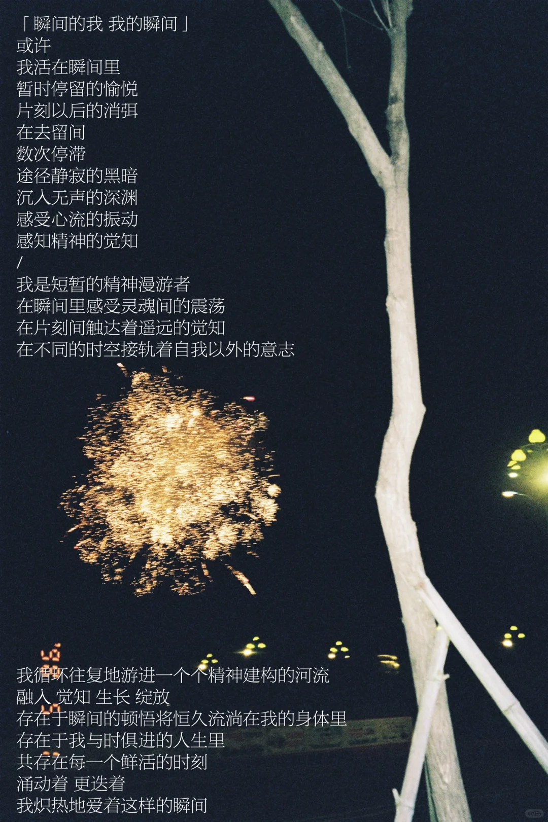 随笔｜「淡」的底色建构着我的生活