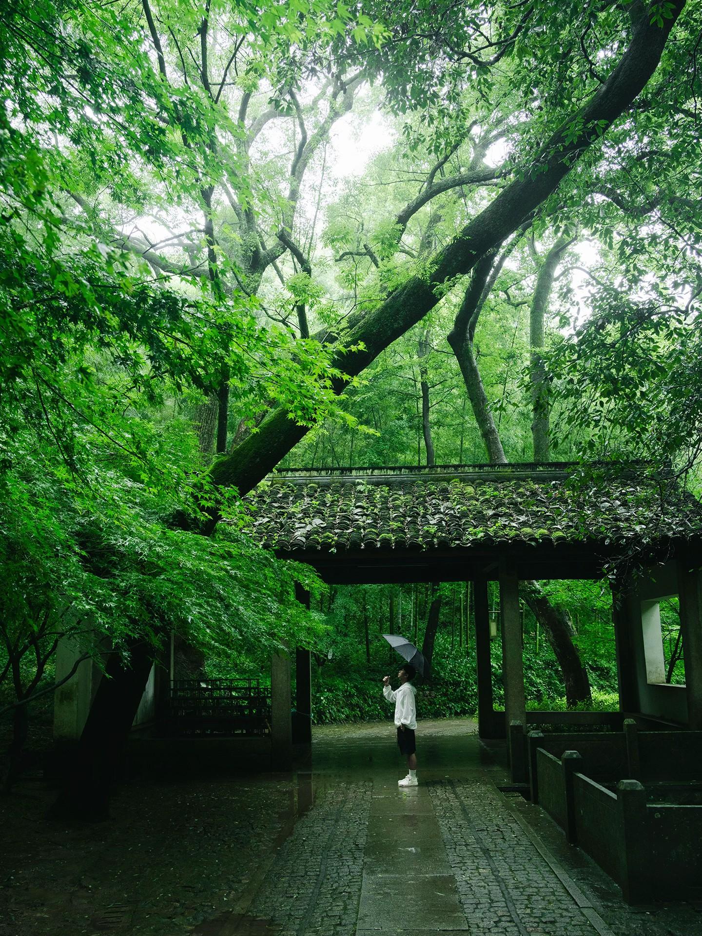 本以为西湖够美了🌿直到雨天我去了云栖竹径。杭州的雨季真的太美了 仿佛...