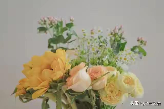 生活没有退路，咬牙坚持的每一步，都在算数

人到中年，手上老茧多了，心里故事也厚