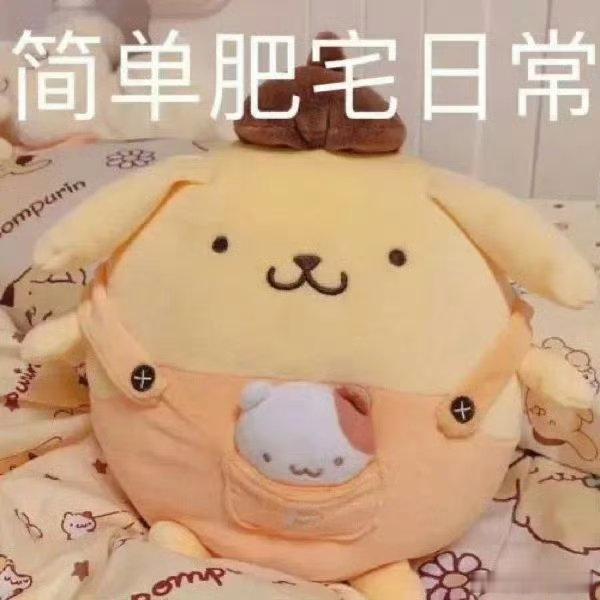 第一批00后已经当上厂长了 说的就是这位从暑假工做成厂长的女生吧！大学时打份工还