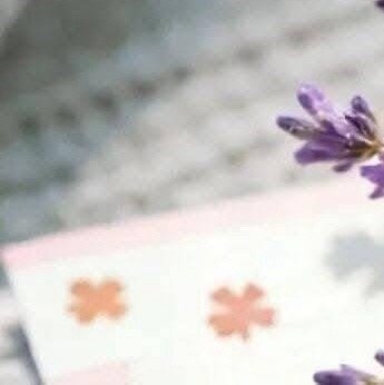 阳光信用  阳光信用 每日一善 感谢意味着心灵丰富。知道感谢的人是充满喜悦的，幸