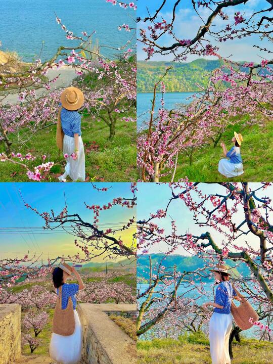 丹东｜河口漫山遍野的十里桃花开好啦🌸