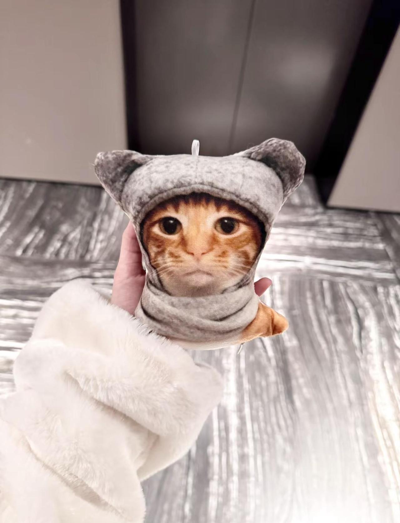 鸡屎变成小猫咪。meme 哈基米