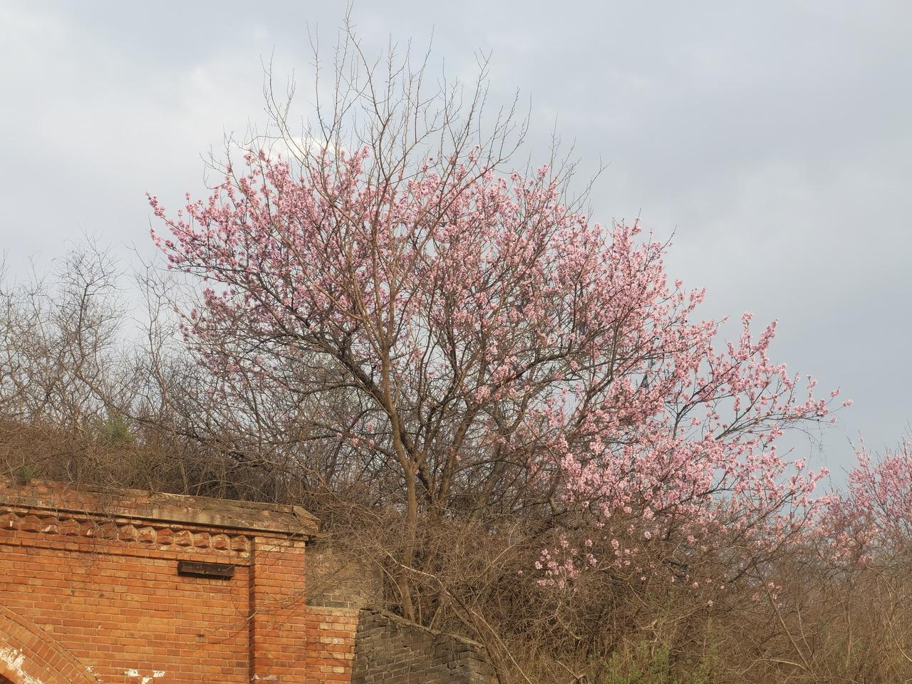 一模过后，各类联考、测试会愈发频繁，高三孩子的压力也会与日俱增。家长务必要做好孩
