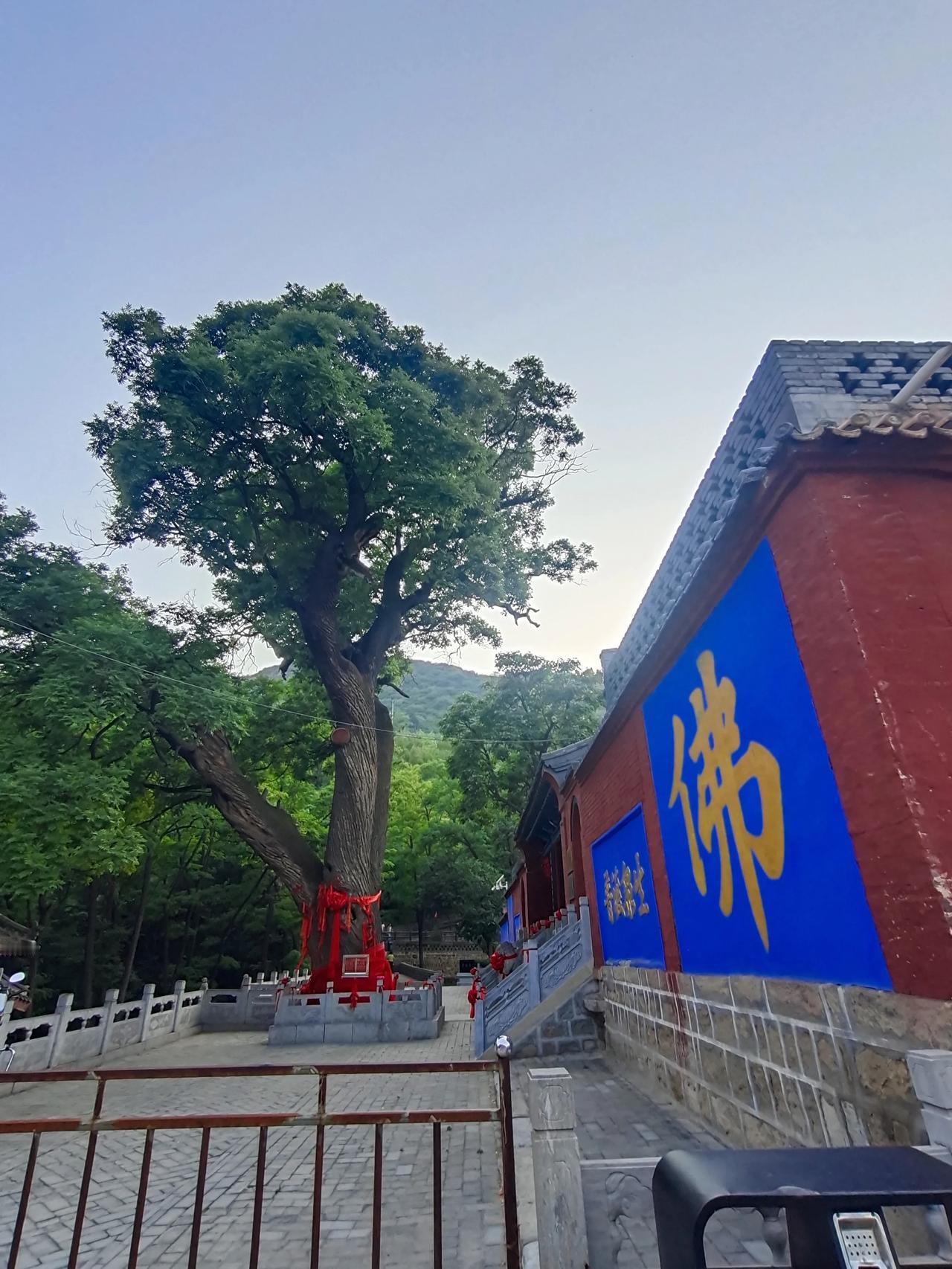 心诚则灵
佛门净地
静心祈祷
平安健康喜乐
心想事成[祈祷][祈祷][祈祷]