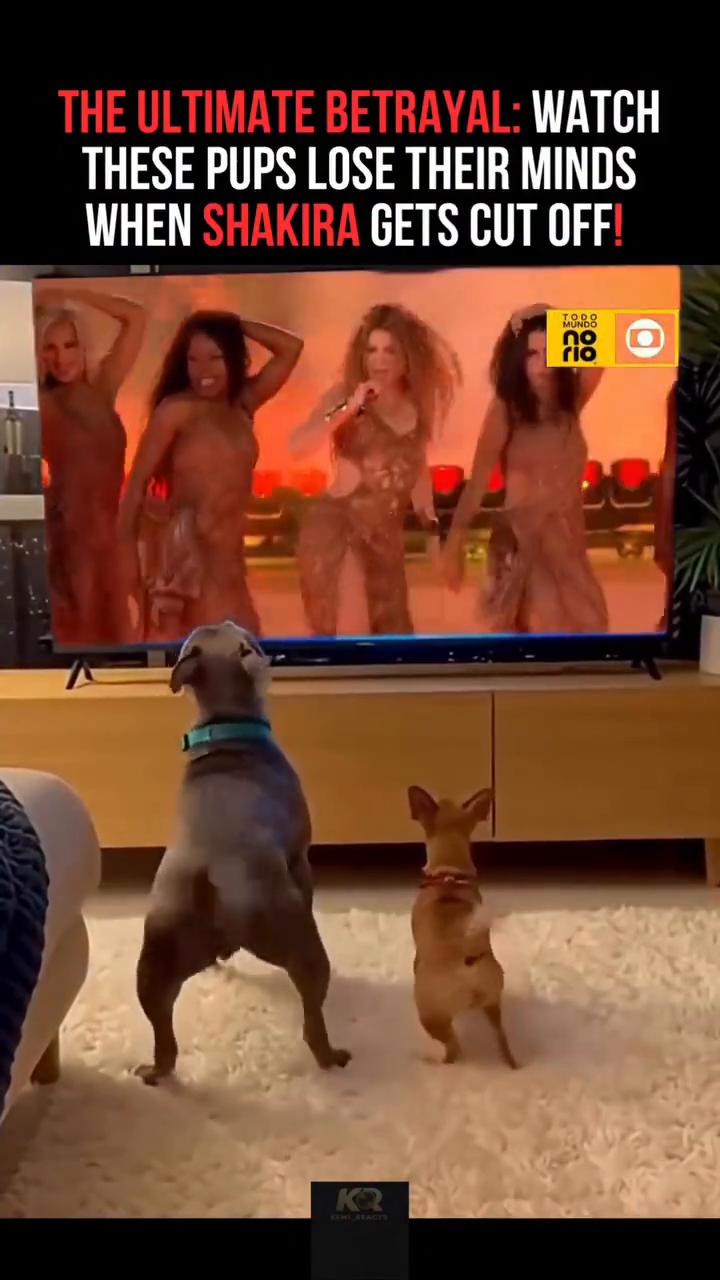 THE ULTIMATE BETRAYAL：WATCH。THESE PUPS L