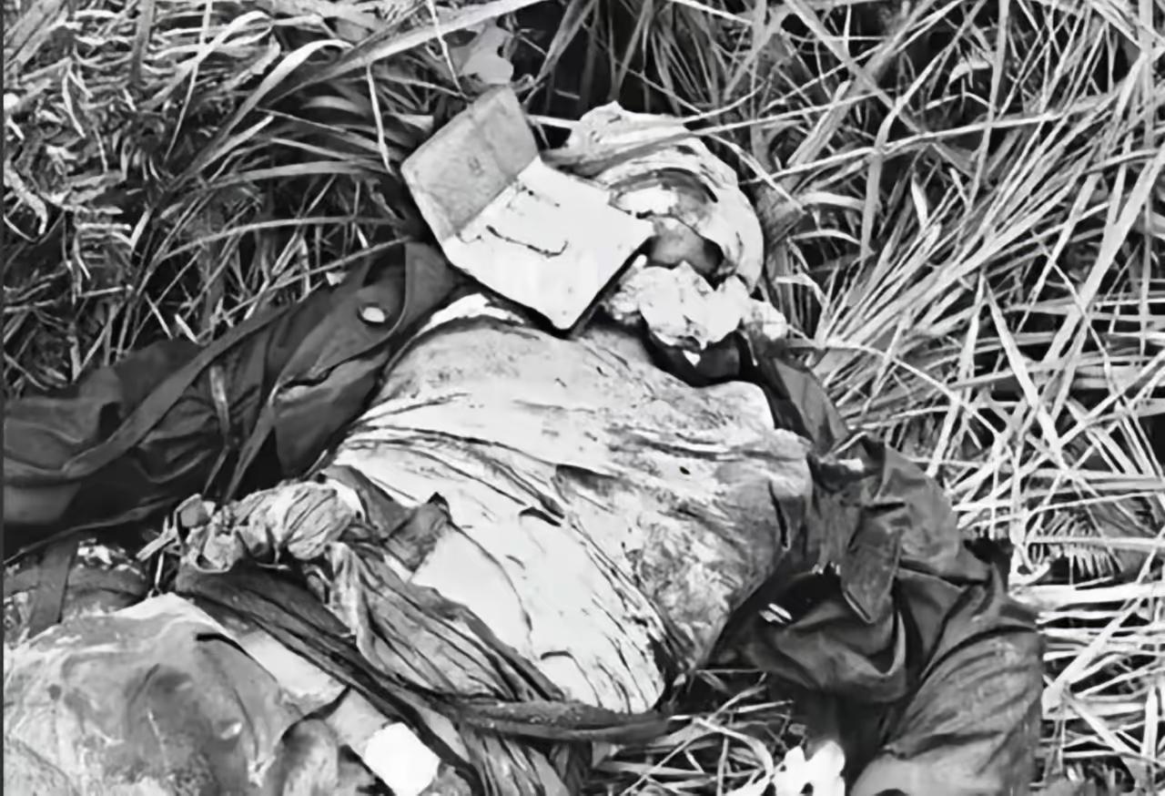 越自卫反击战的战场上，18岁小战士牺牲后，并肩拼杀的战友连停下来多抱他两秒都不敢