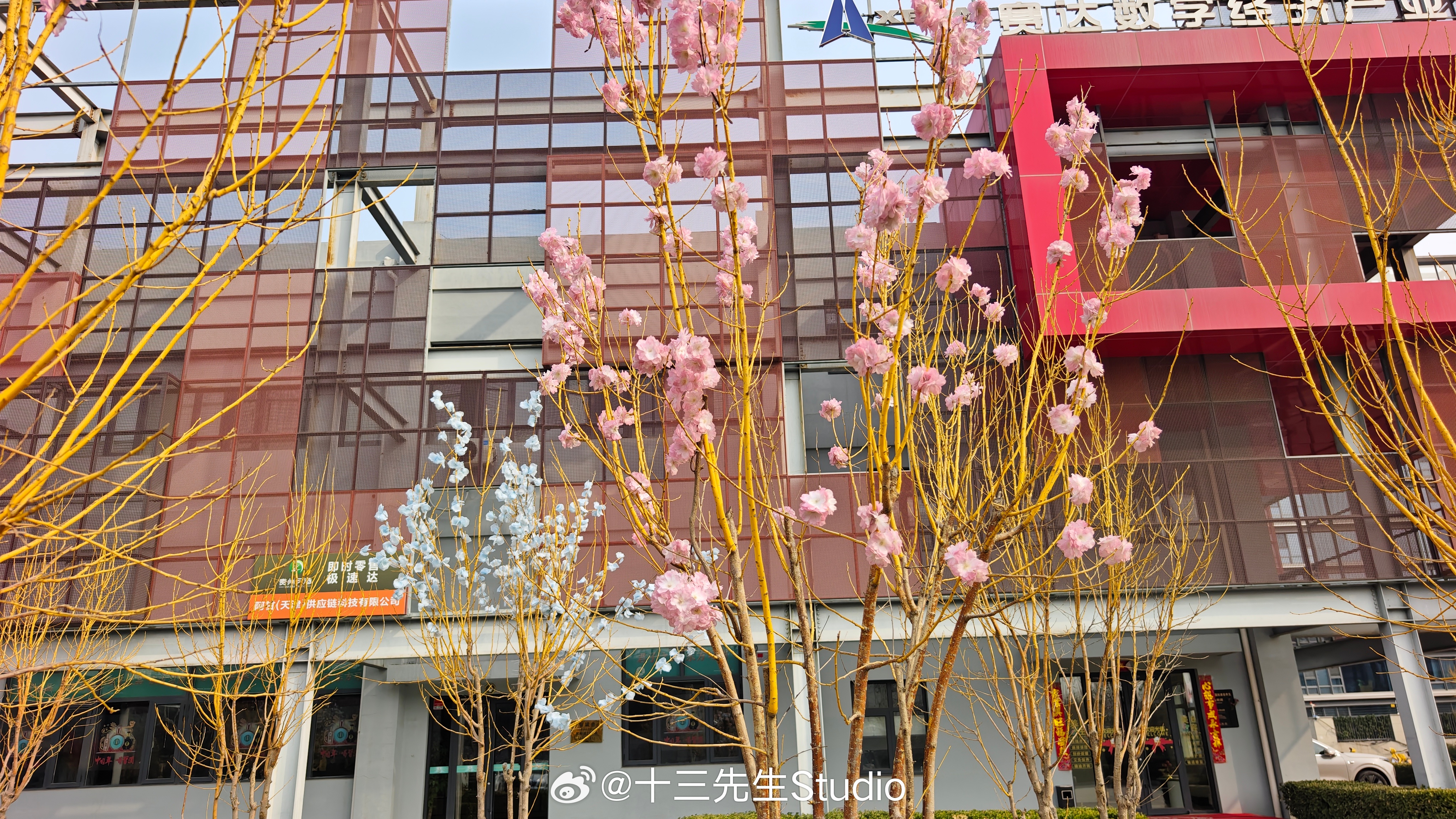 本以为春意盎然，离近一看，全是假象