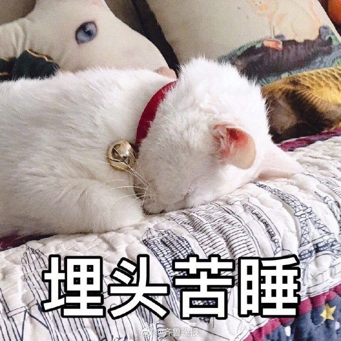 今天过得怎么样并不重要，重要的是你现在要好好休息。#晚安#