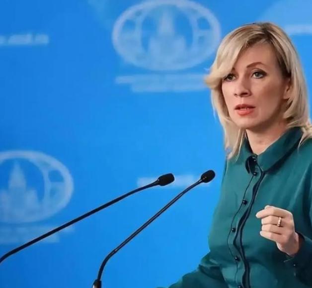 俄媒表示，如果东大陷入了战争，可能会有很多国家来对付东大，但如果东大彻底将对手打