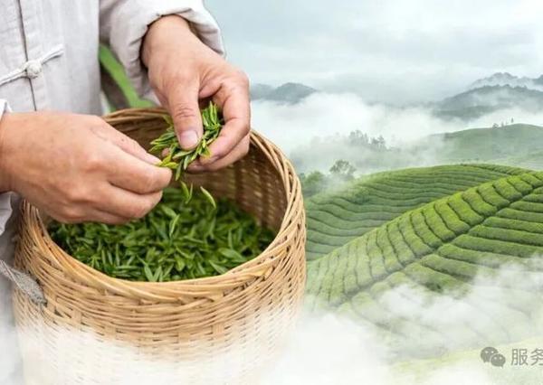 快讯｜别再盲目内耗！2026年年轻人觉醒：深耕自己，才是顶级清醒
 
2026年