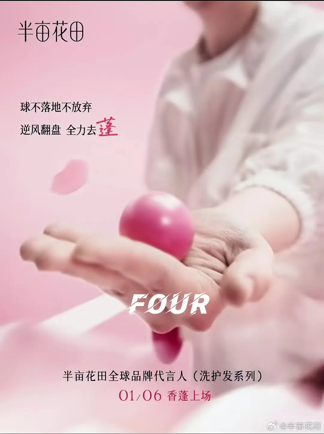 半亩花田洗护发系列。